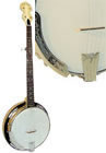 5 string banjos